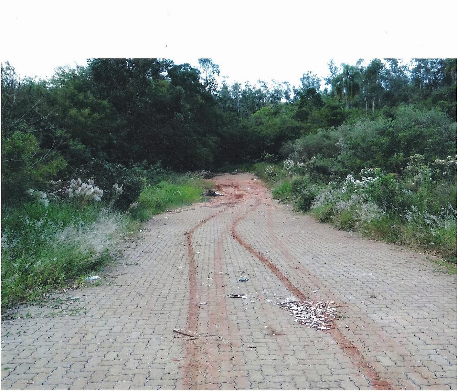 VEREADOR DO PSB PEDE LIMPEZA NO SOLAR DO CAMPO