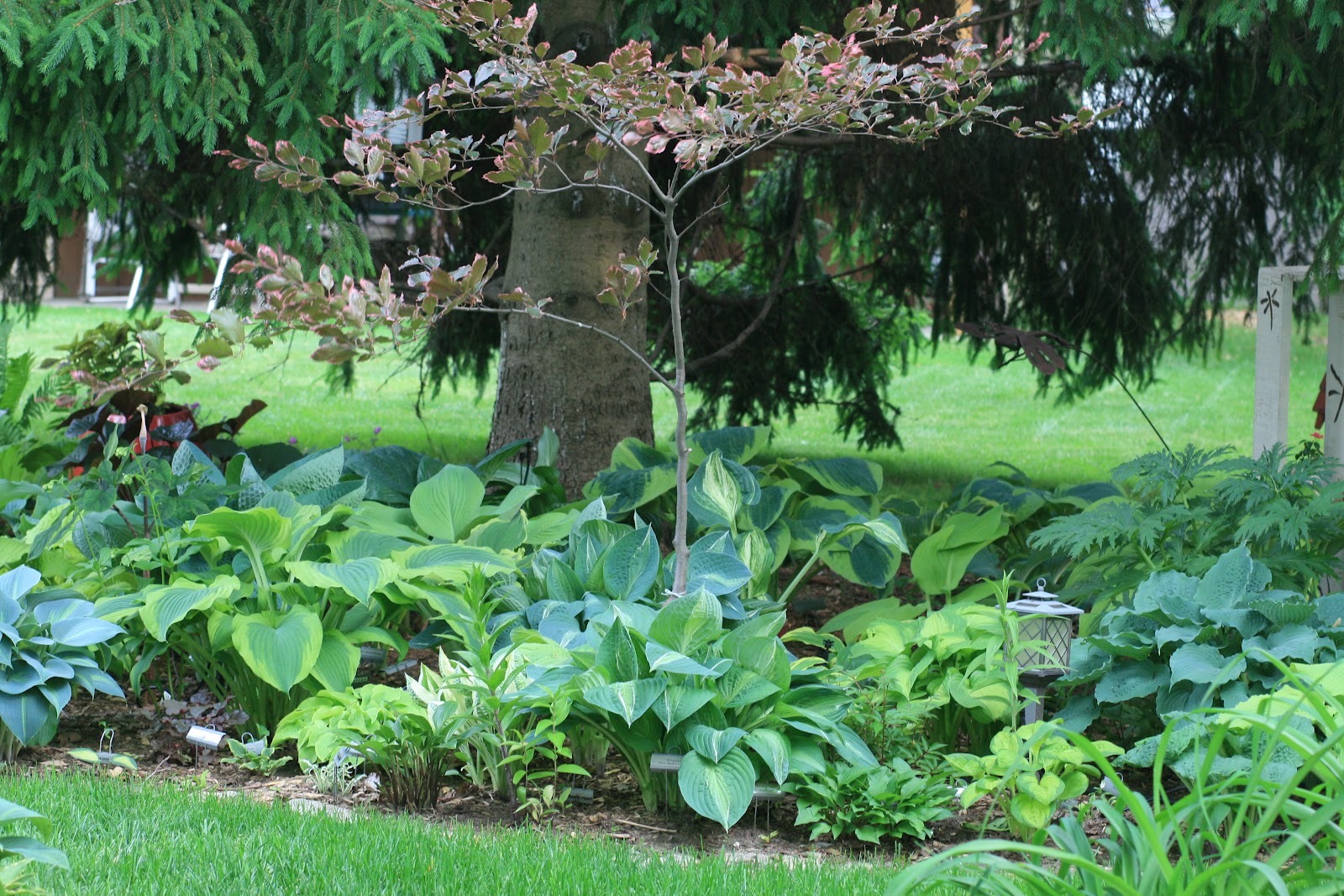 Cheesehead Gardening Moving?? Do you take all your plants with you?