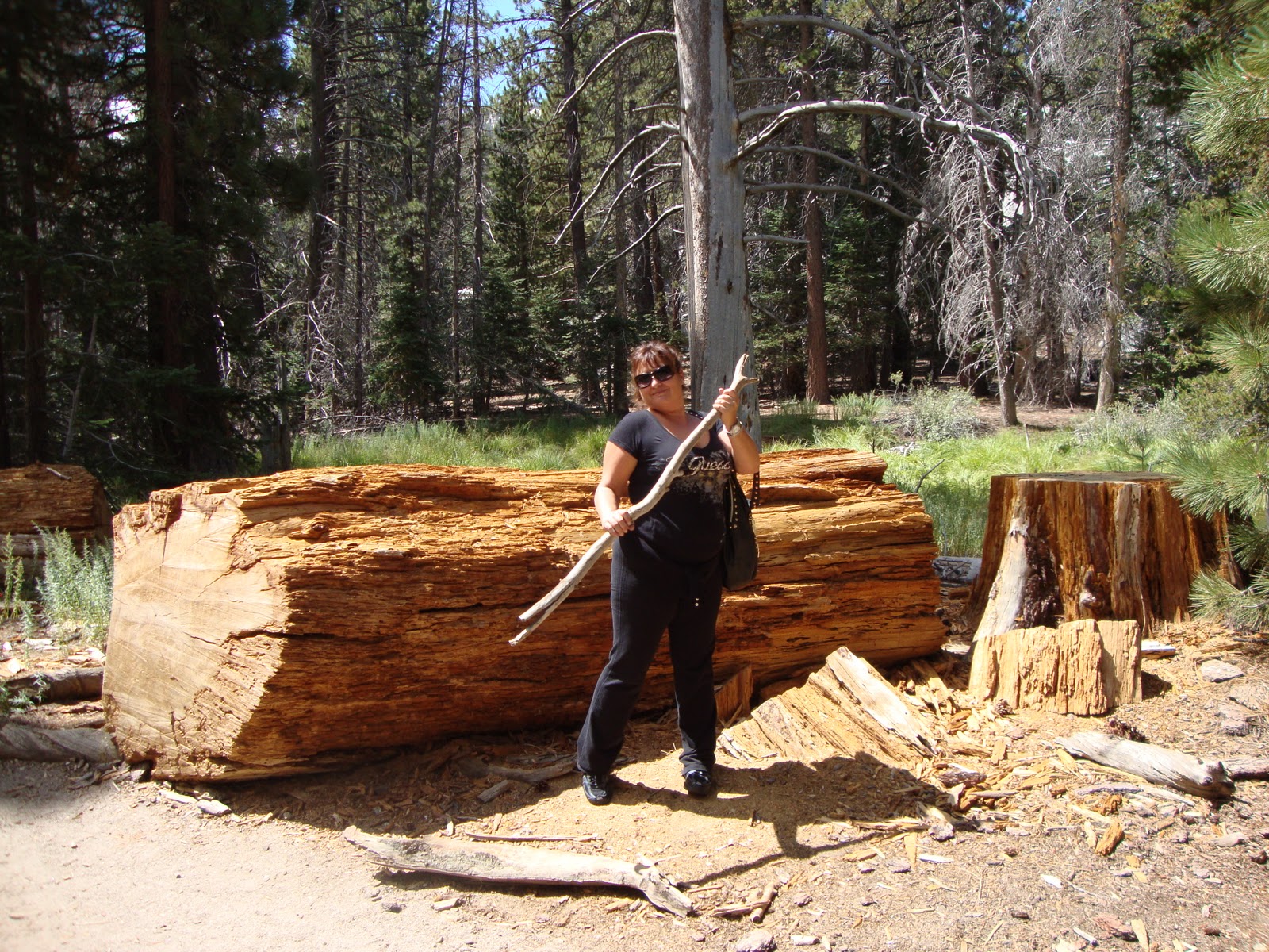 Palm Springs To Do & See Palm Springs Cable Cars