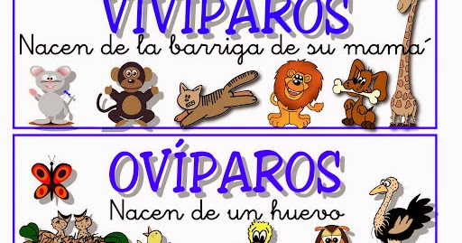 Ciencias Naturales 2: LOS ANIMALES OVÍPAROS, VIVÍPAROS Y MAMÍFEROS