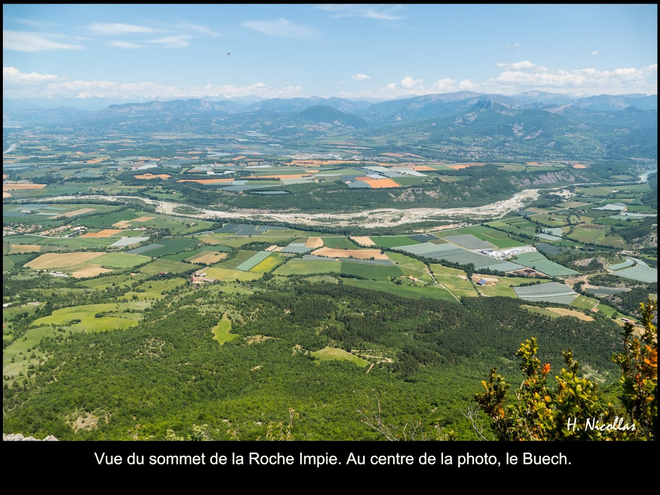 PAYSAGE BUECH SOMMET