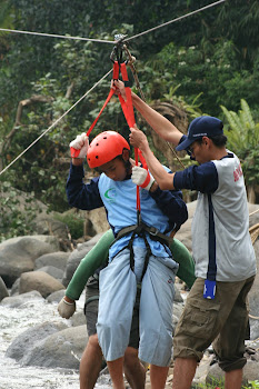 Flying Fox