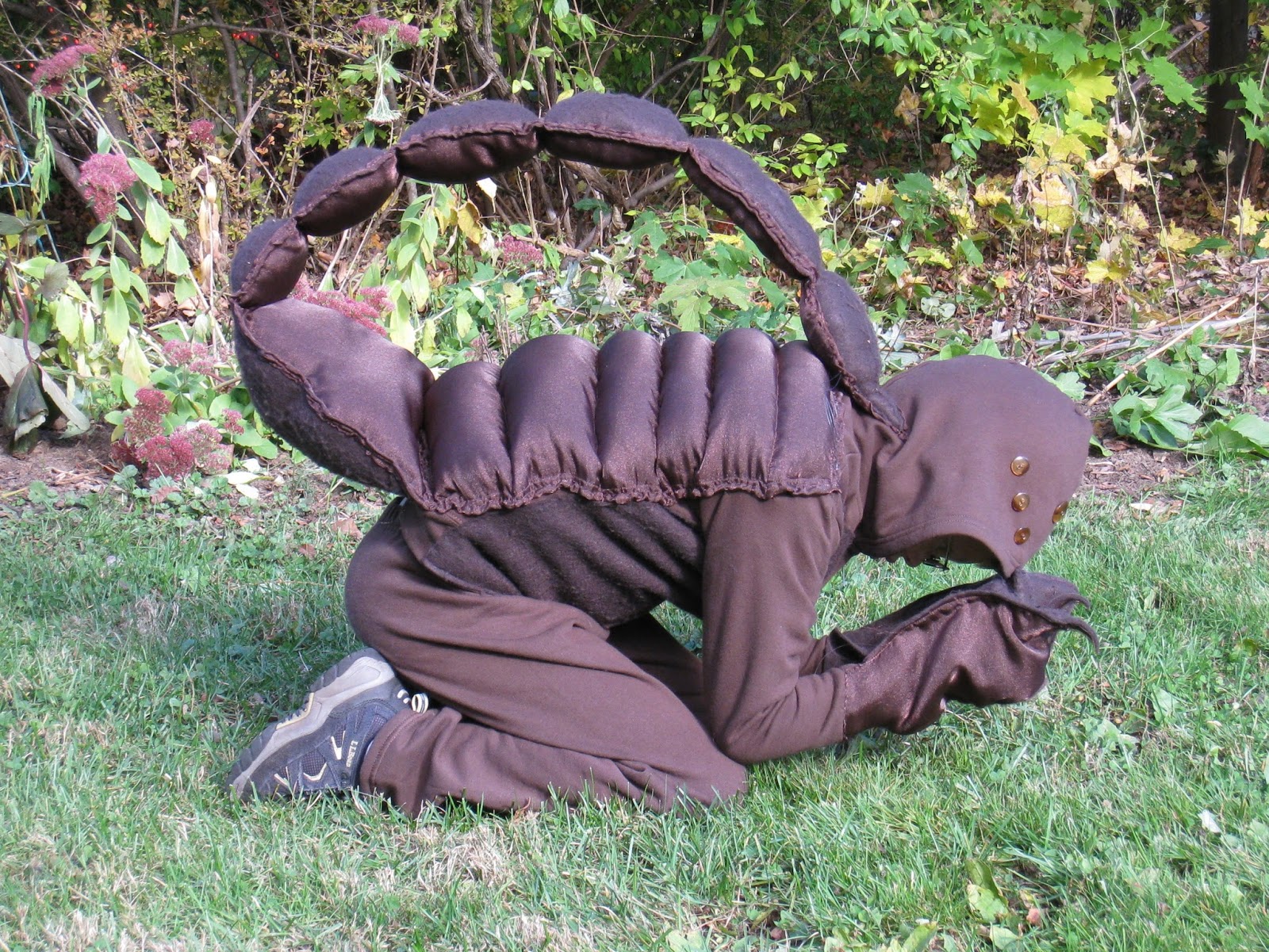 IMG_0087.JPG 1,600×1,201 pixels | Skorpion, Karneval, Verkleidung