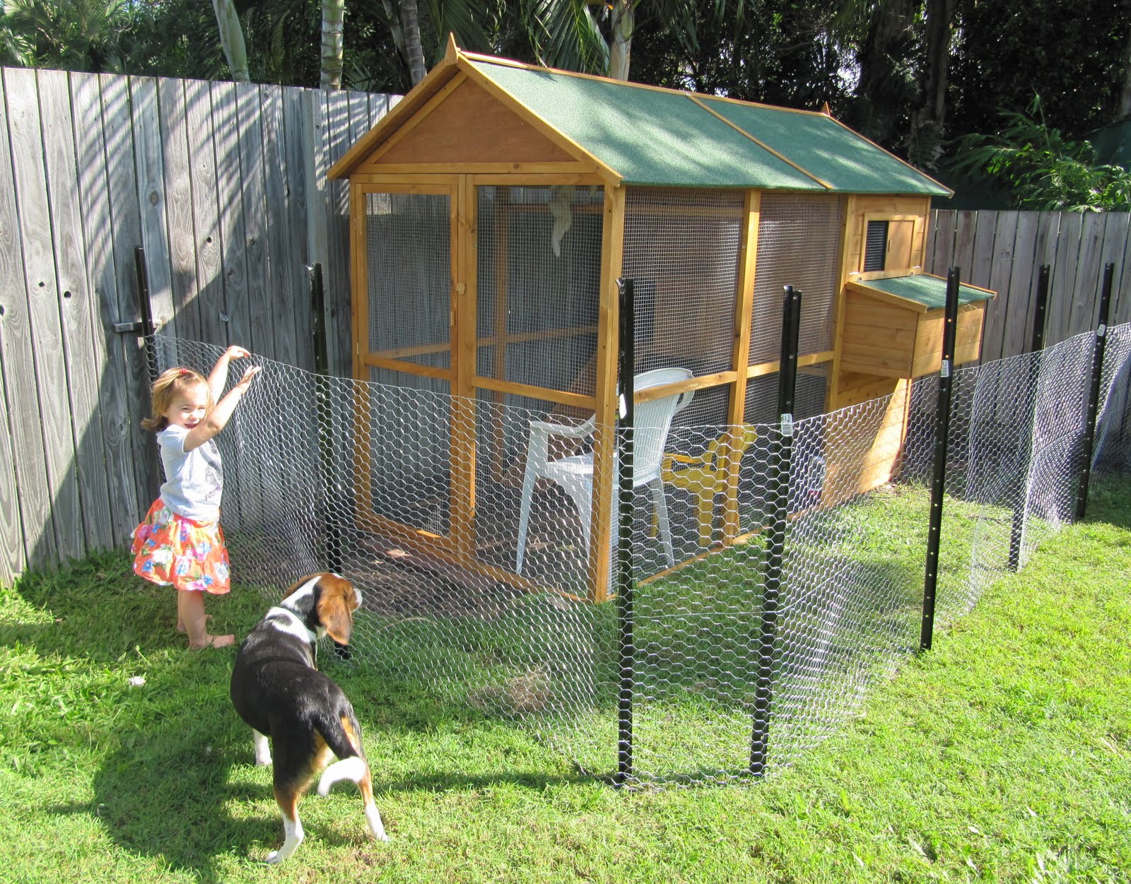 All Things Guinea Pig The BIG cage is Finished!