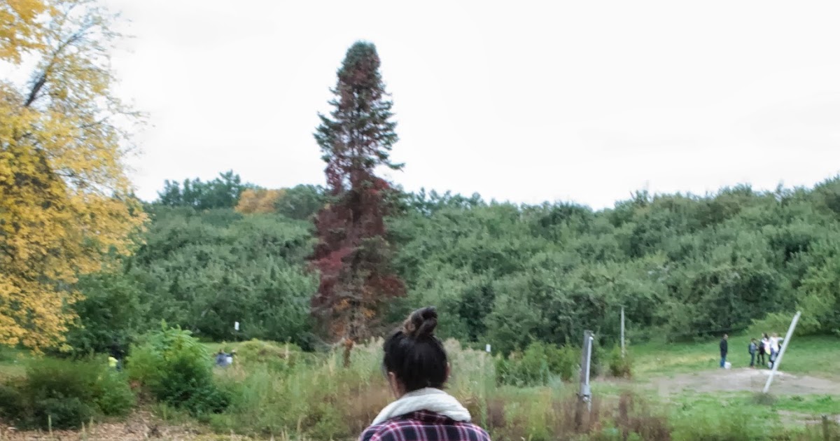 “Once you can accept the universe as being something expanding into an