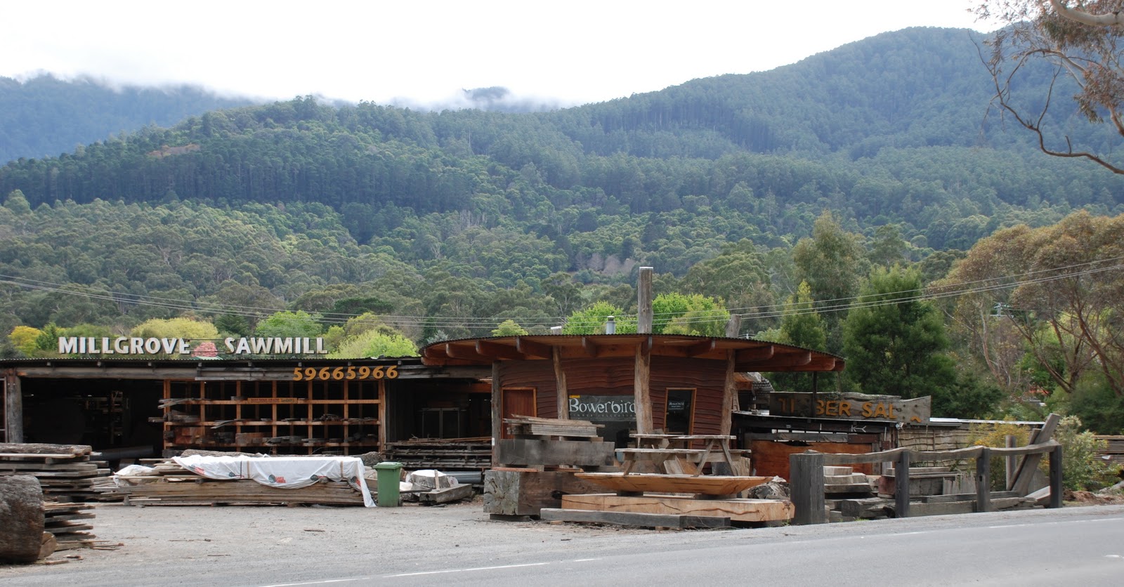 walkabouters club of victoria inc Warburton Rail Trail Millgrove
