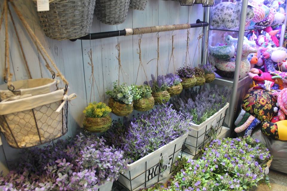 Tahu Tak Pokok Pokok Dan Bunga Borong China Services