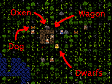 dwarf fortress ascii or texture dwarf fortress ascii or texture