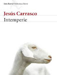 UN LIBRO DE LECTURA IMPRESCINDIBLE: INTEMPERIE