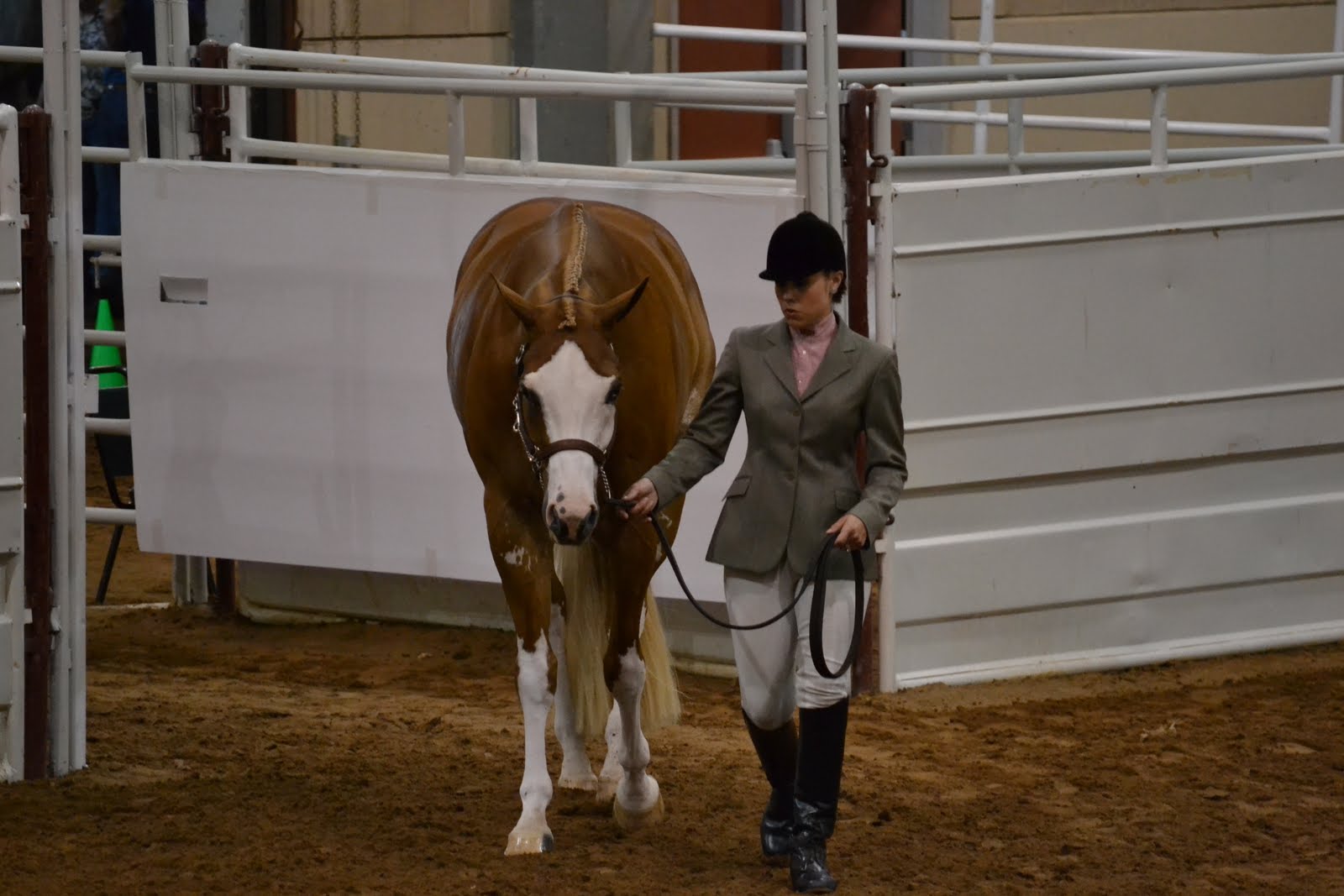 Trip to the Pinto World Show English Showmanship Pics