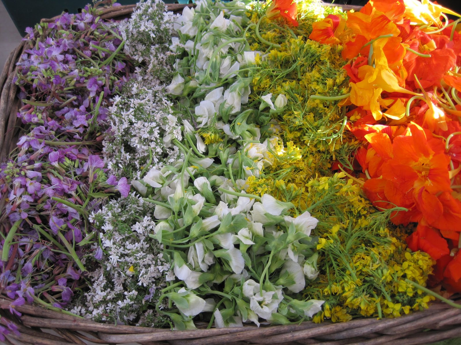 STAR Fine Foods Edible Flowers