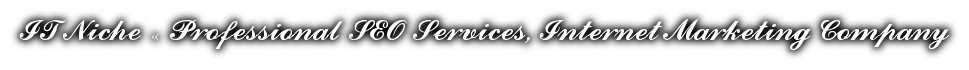 IT Niche – Professional SEO Services, Internet Marketing Company
