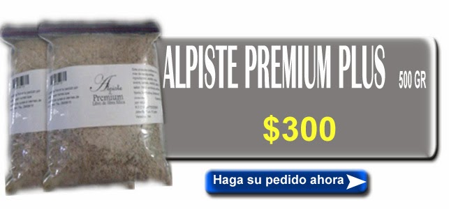 Alpiste Premium Tamarindo