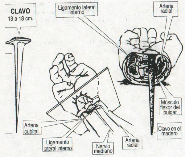 Donde+Murio+Jesus ... donde se expone de manera casi exhaustiva las evidencias de la muerte