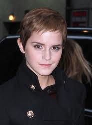 All about Emma Watson, the actress,model,spokesperson.