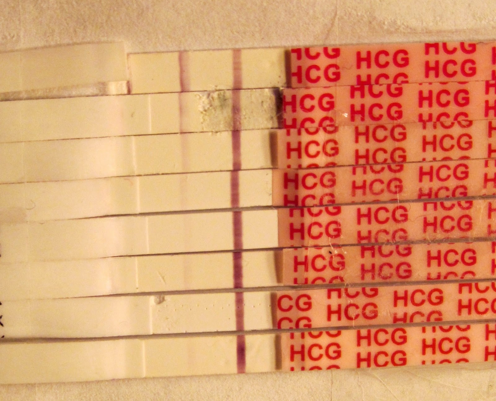 Progressing in Circles Trigger is Gone