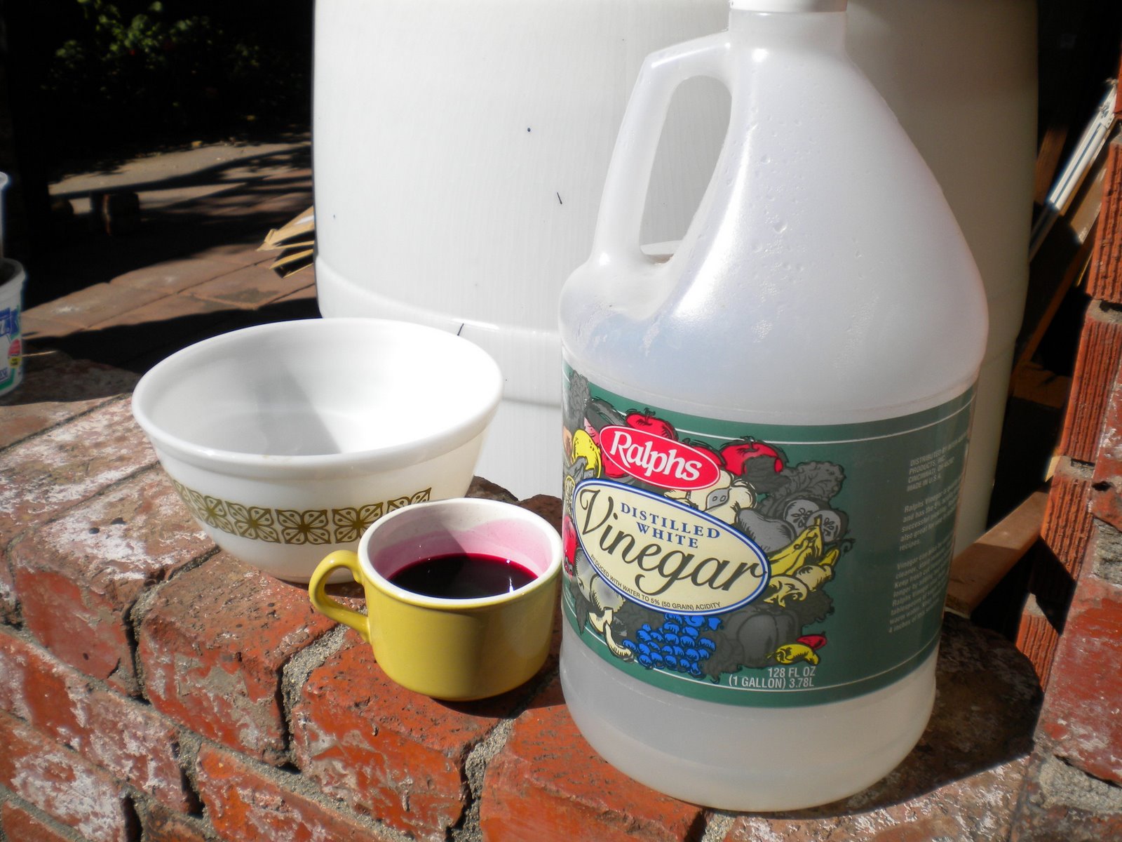 Esther Banks Kitchen Experiment beet dye hair