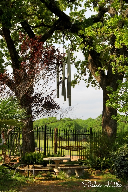 Southern Blue Traveler KRAUSE SPRINGS SPICEWOOD, TEXAS