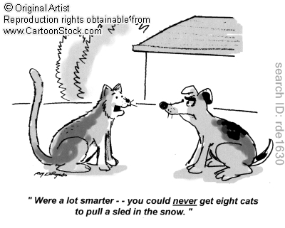 İngilizce Kaynak Sitesi: Comparatives & Superlatives Alıştırmalar