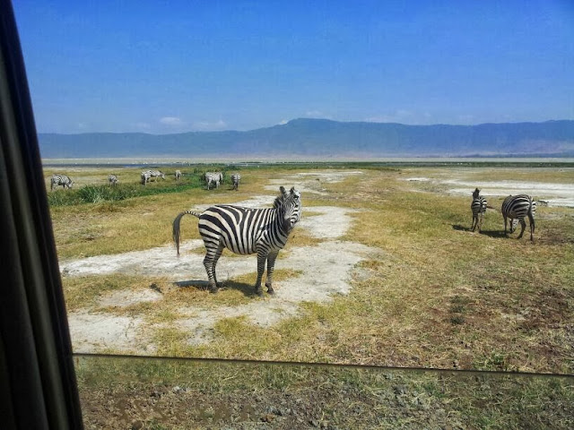 Ngorongoro Crater - Tanzania