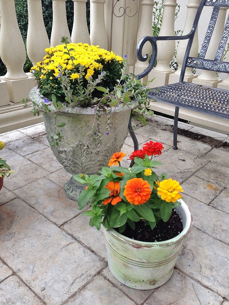 Rattlebridge Farm She�s Gone to Pot