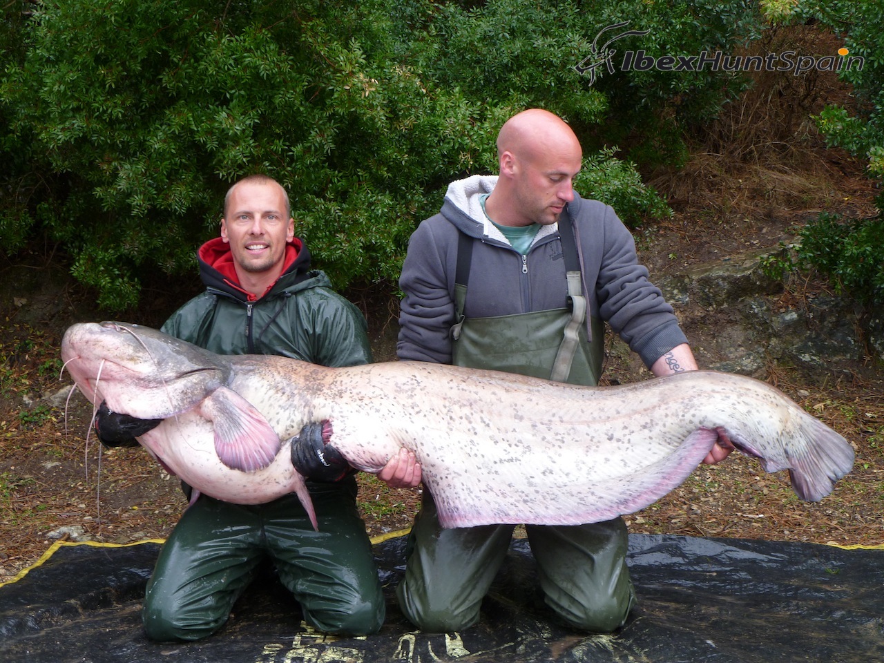 News Letters June FISHING CATFISH IN THE RIVER EBRO hunting ibex