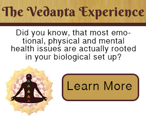 The Vedanta Experience