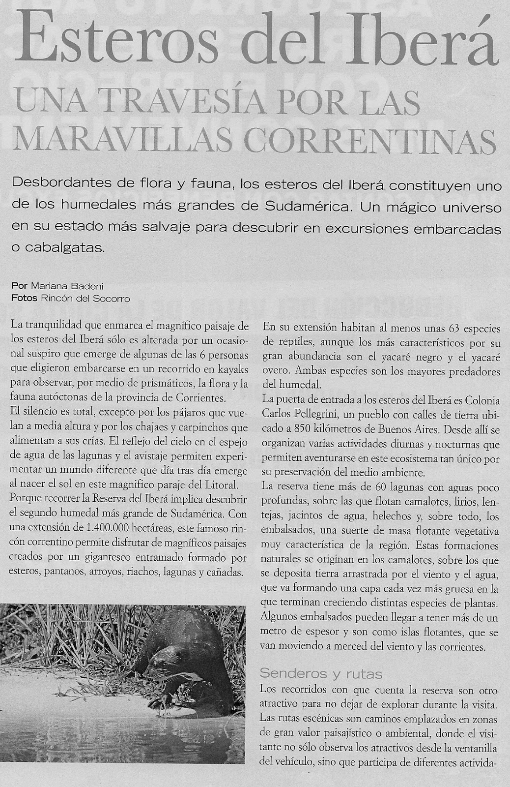 Apuntes de Historia y Geografía 457 Esteros del Iberá