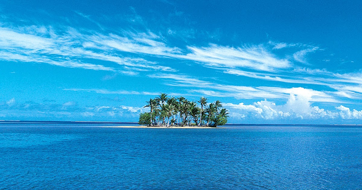 Descriptive Paragraph on the Ocean Mrs. Smith's Third Grade Class