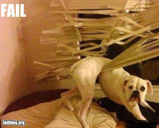 STUPID DOG stuck in blinds didn't expect you home