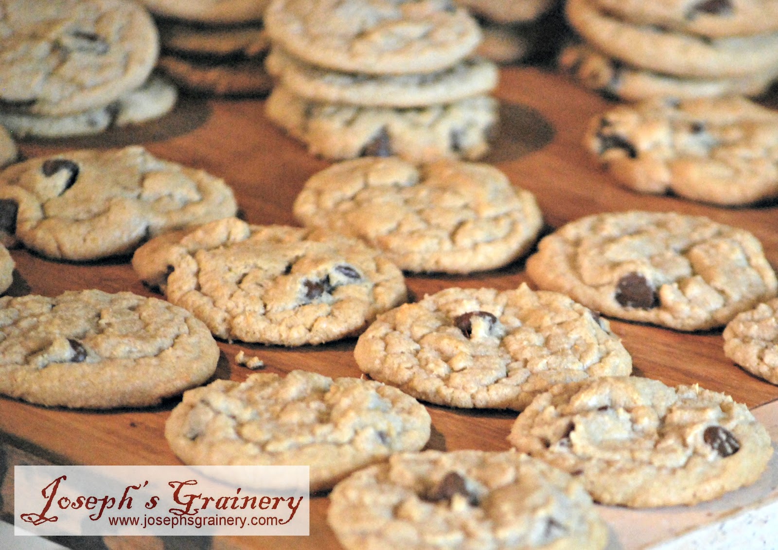 Joseph's Grainery Have You Tried Barley Flour Yet?