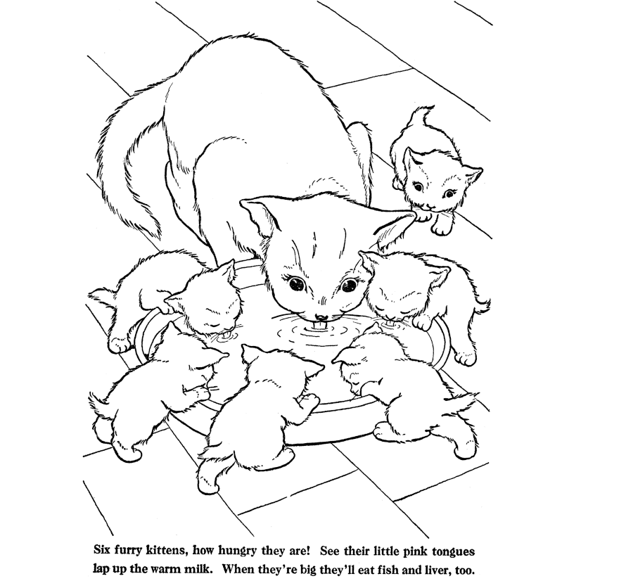 Cute Baby Cats - Coloring Pages Animal Pictures