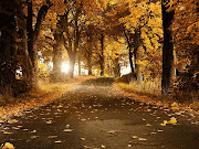 Bello camino cubierto de hojas de los arboles en el otoño. bello camino cubierto de hojas de los arboles en el otoã±o