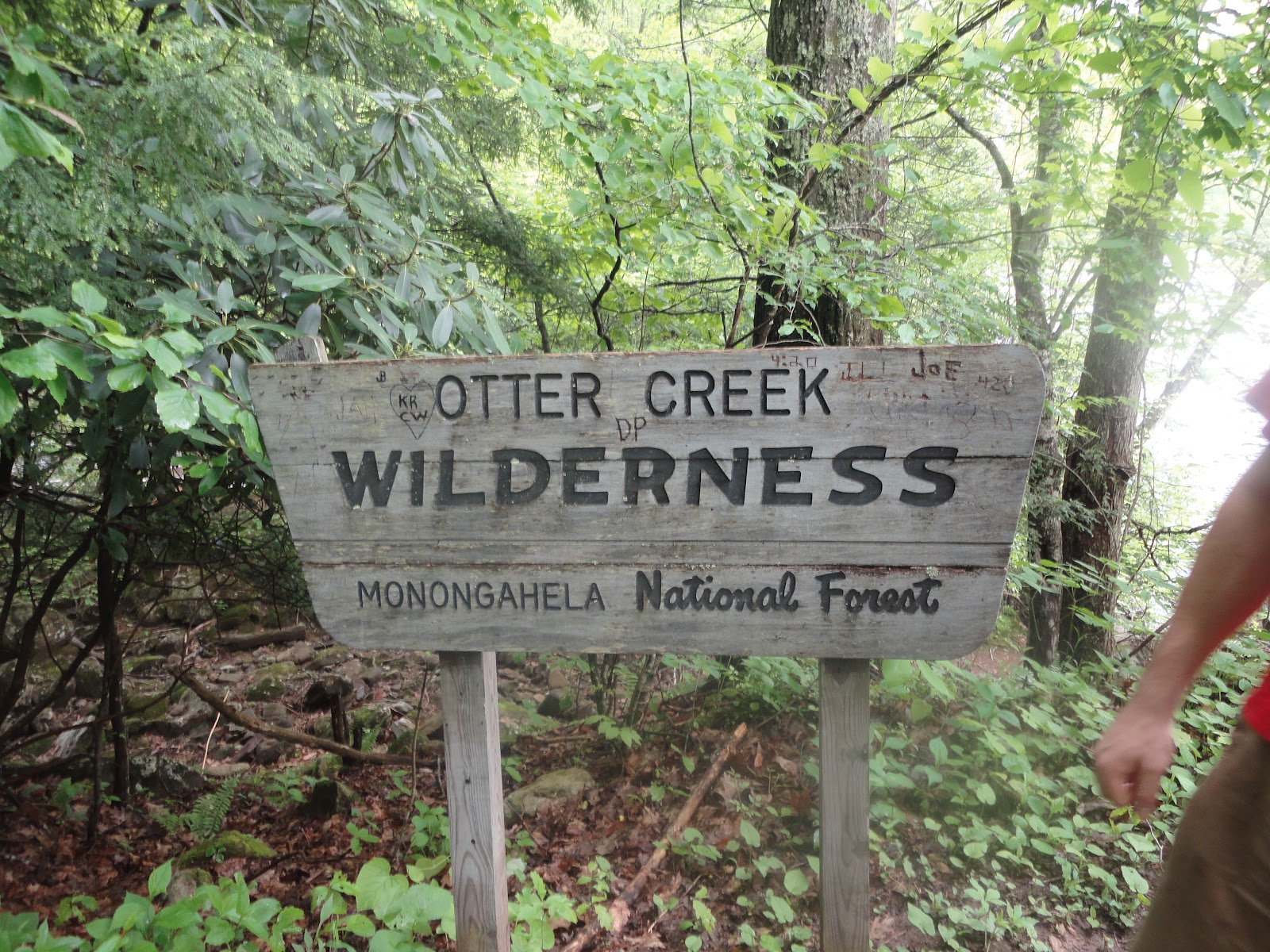 Grobe Anglers And Adventures Lower Otter Creek Monongahela National