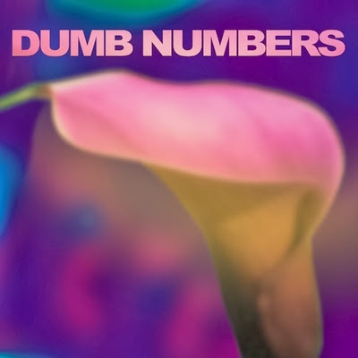 jnr115 Dumb Numbers – Dumb Numbers