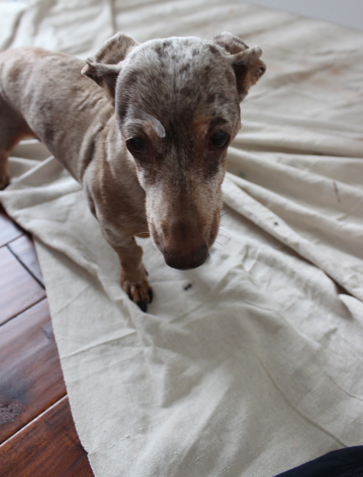 Chalk Paint Is It All It's Cracked Up to Be? Delightfully Noted