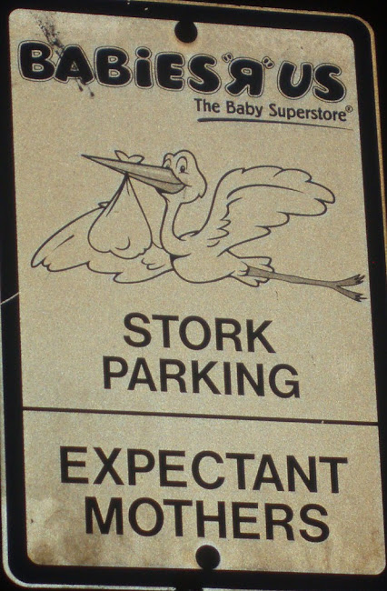 Stork Parking