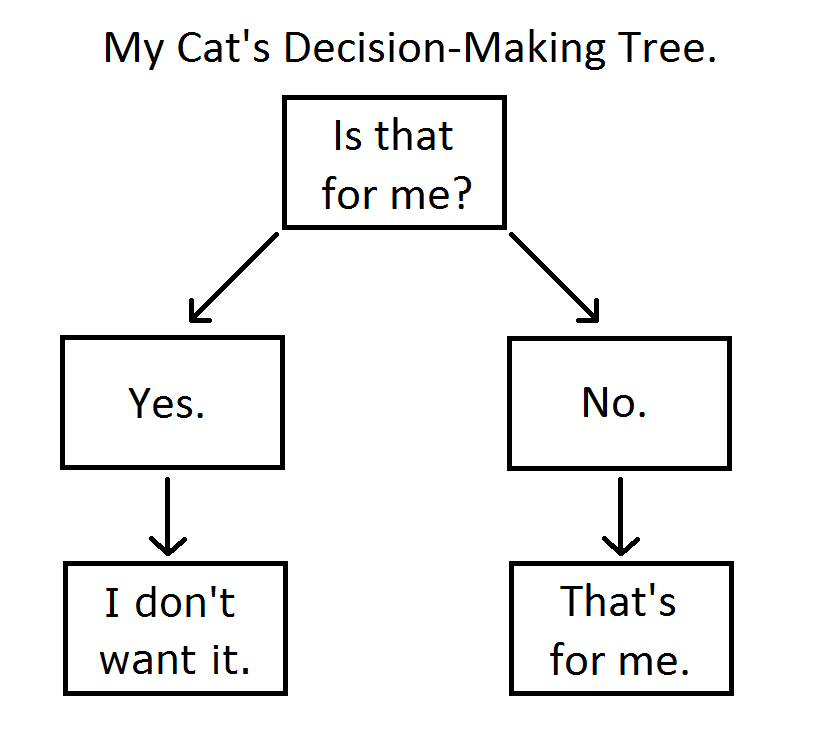 The Cat's Meow A Cat's DecisionMaking Tree Kitties explained in Chart Form