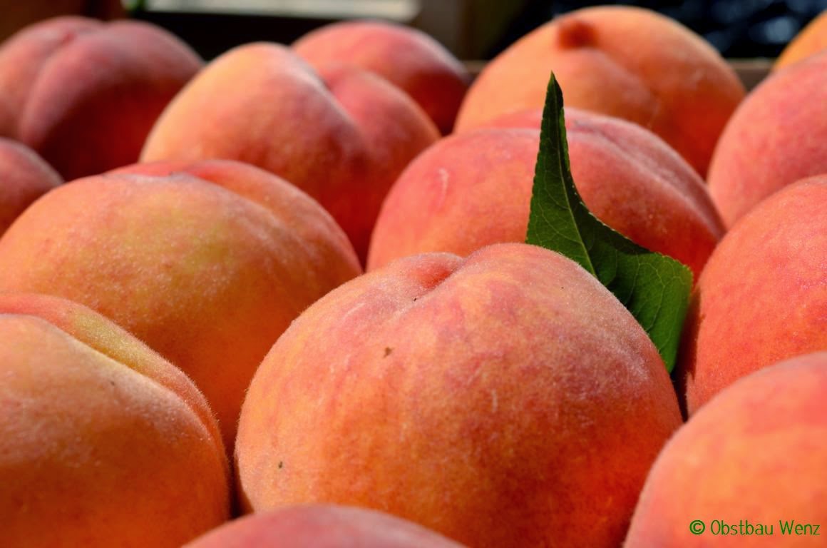 Pfirsich Pfirsich