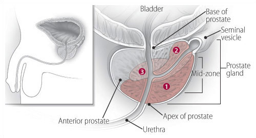Оргазм Простаты Секс Видео Оргазм Простаты Секс Видео