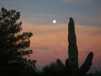 Moonrise