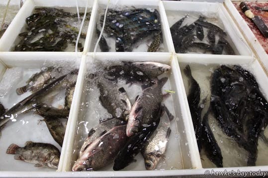 Fish flop around at a wet market photograph