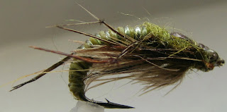 The Emerger Caddis Pupae