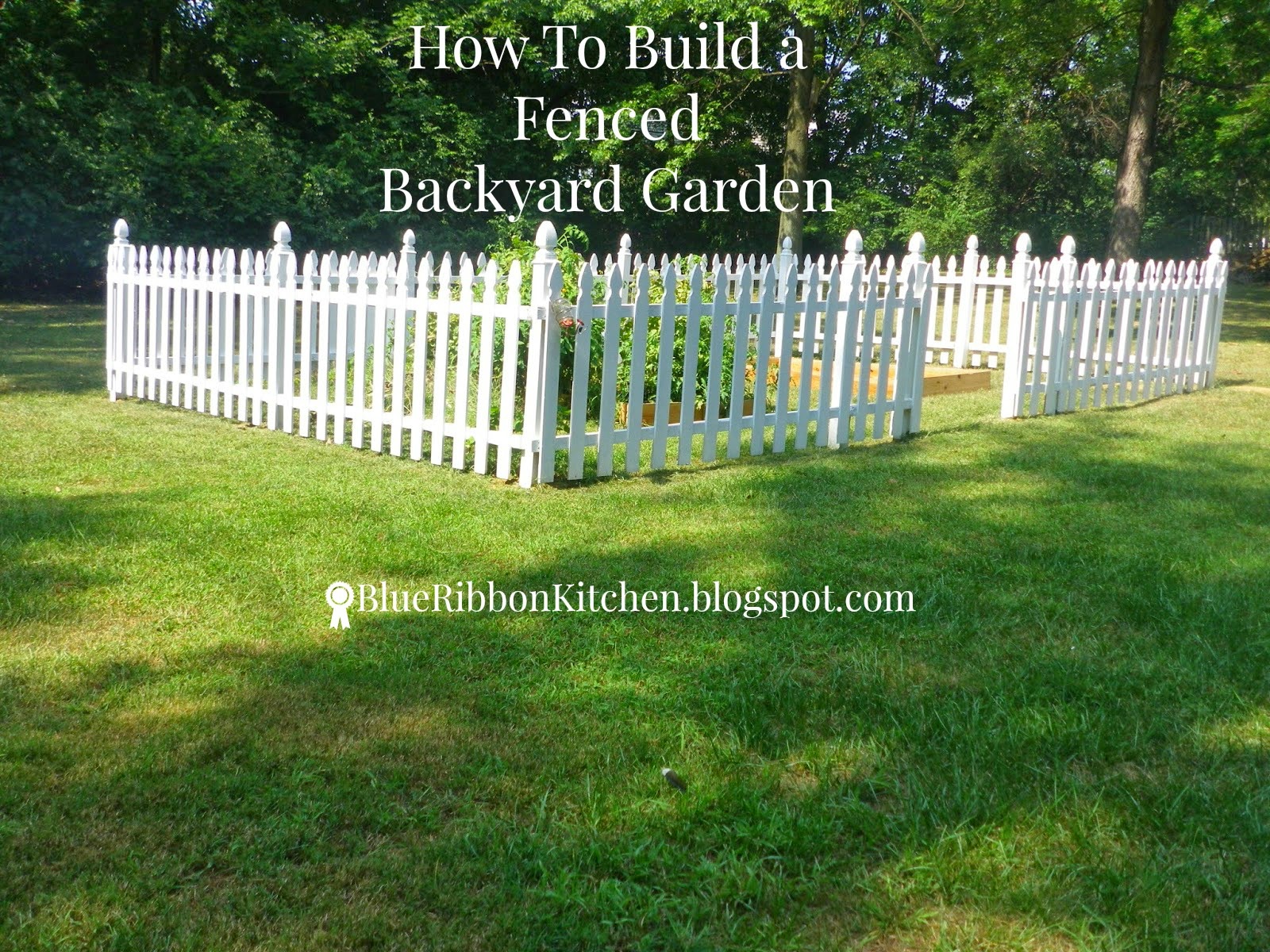Blue Ribbon Kitchen: 20 Inspiring Backyard Garden Ideas!