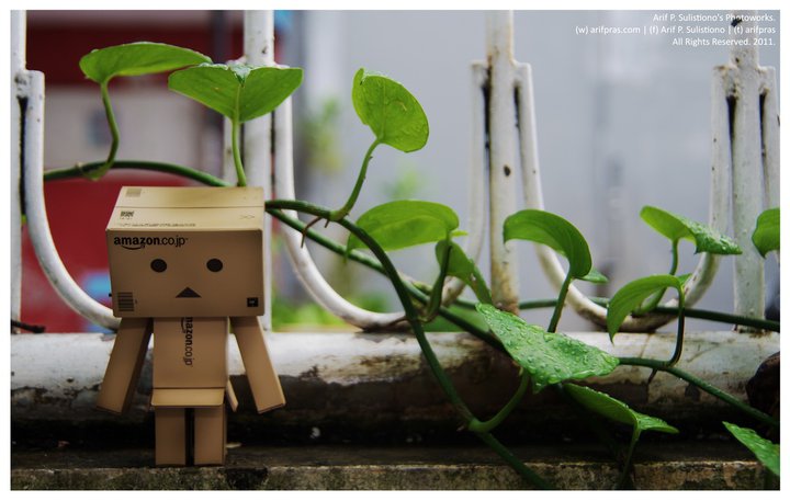 boneka danbo boneka danbo