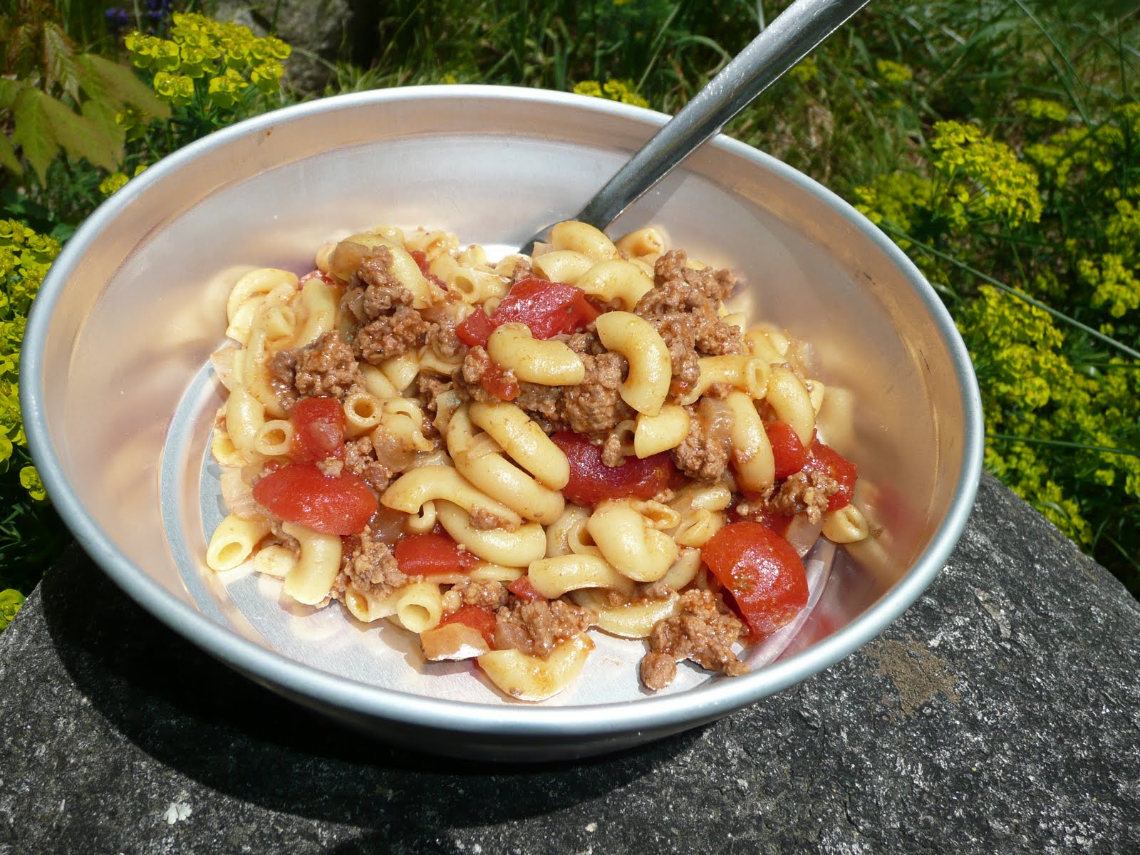 Everyday Dutch Oven Campfire Goulash 57