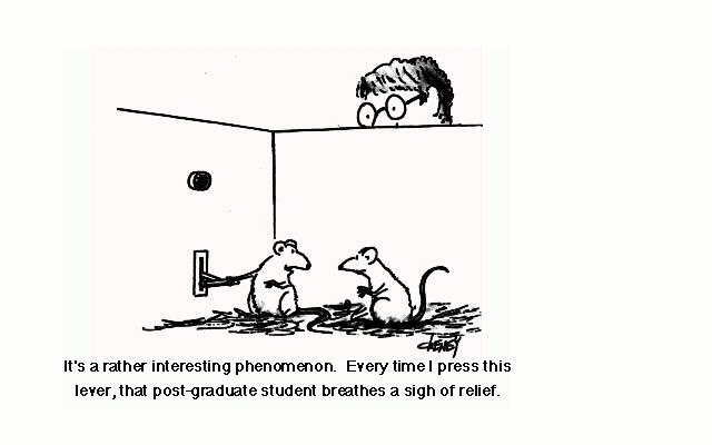 Quotes on research methodology