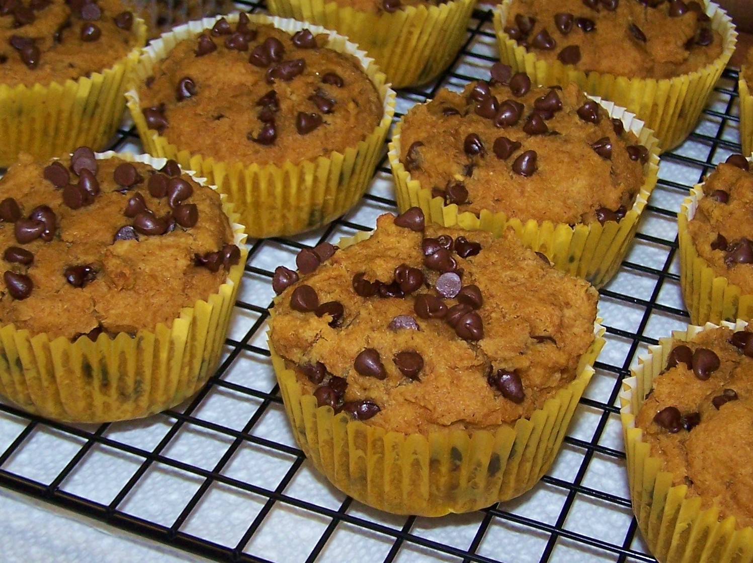 EZ Gluten Free Pumpkin Chocolate Chip Muffins