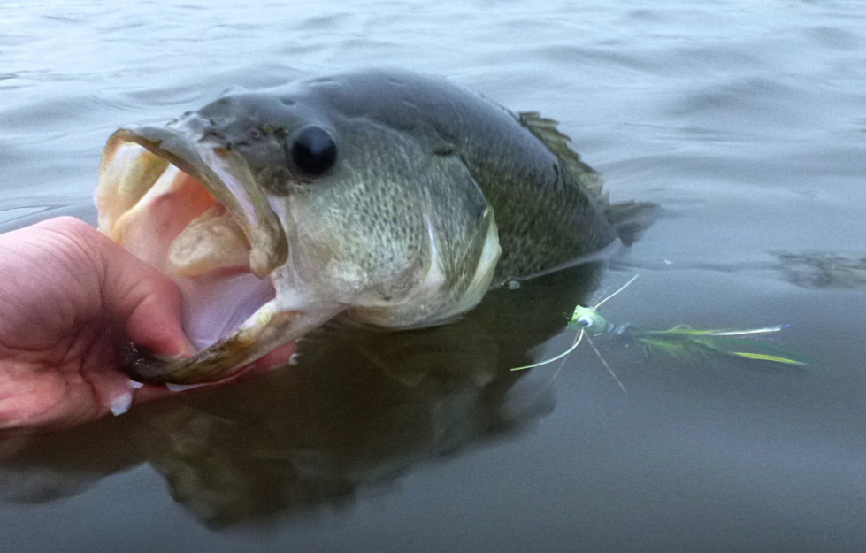 Currents Poppers for Bass