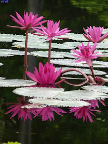 Sukhothai, Thailand